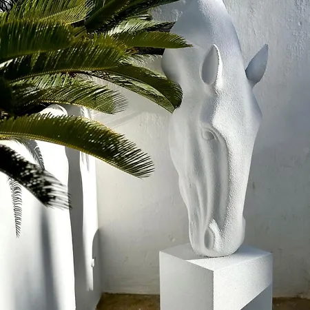 Daire Enso Mykonos Living Mykonos Town